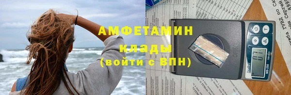 гидра Горно-Алтайск