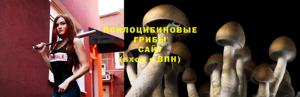 spice Гусиноозёрск