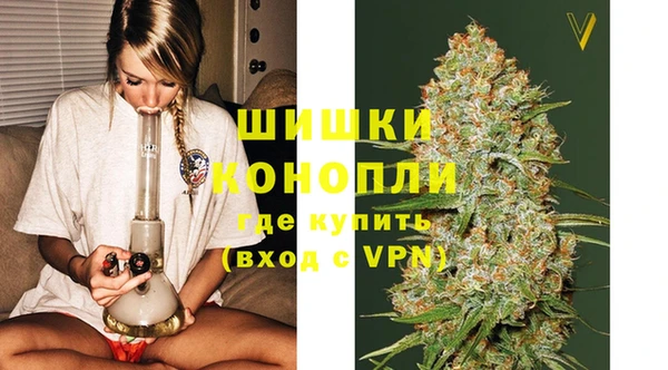 spice Гусиноозёрск